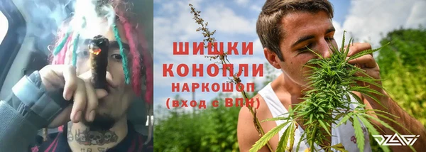 дурь Заводоуковск