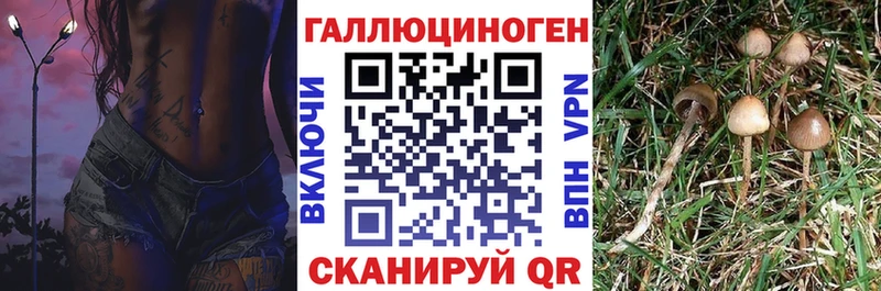 Галлюциногенные грибы ЛСД  закладки  Заринск 
